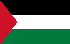Palestine flag